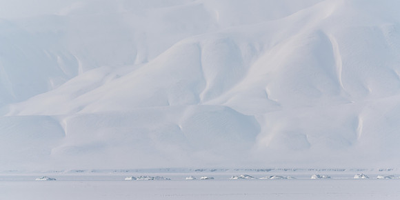 Muted Arctic Landscape at midday, Isfjorden, 13:05