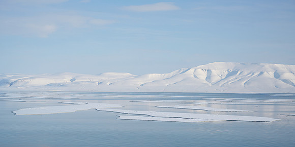 Muted Arctic Landscape at midday, Isfjorden, 14:13