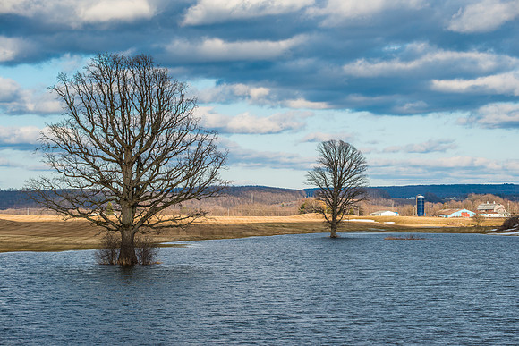 Fabius Farm Evening - 4/11/2015