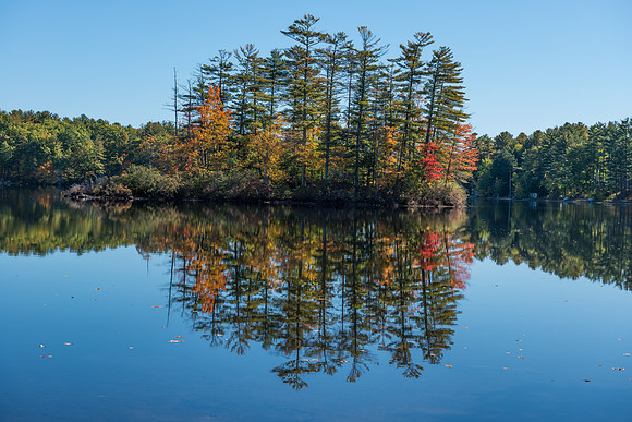 Lake near Limerick, Maine