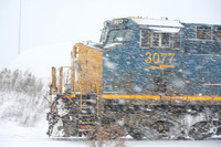 Snow Train