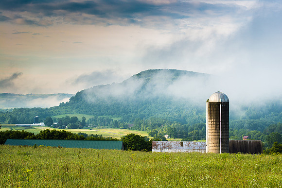 Neighbor's Farm - 6/26/2015