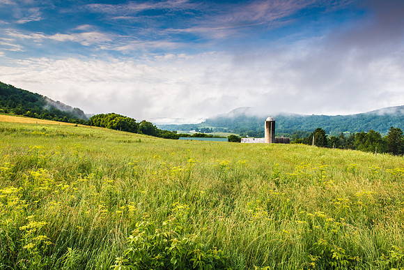 Neighbor's Farm - 6/26/2015