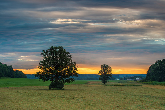 Fabius Farm Morning - 7/21/2015