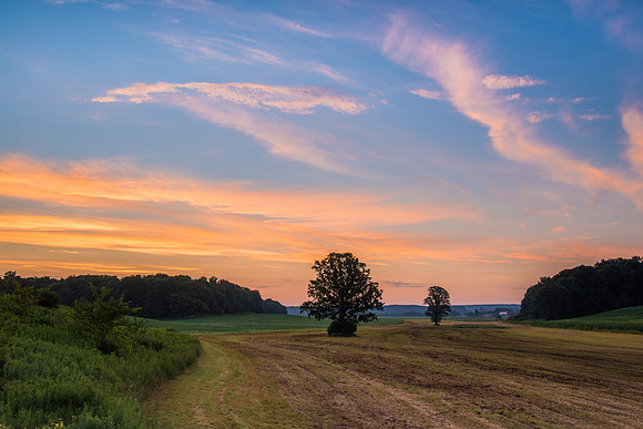 Fabius Farm Morning - 7/24/2015