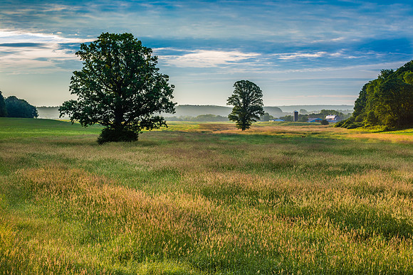 Fabius Farm Morning - 6/14/2015