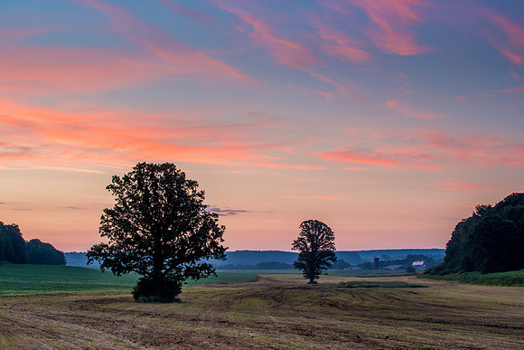 Fabius Farm Morning - 7/24/2015
