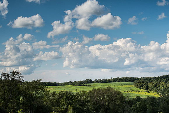 Trinity Glen - from my front deck 8/1/2015