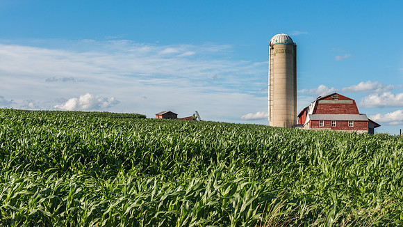 Rodman Farm, 8/1/2015