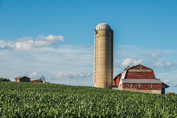 Rodman Farm, 8/1/2015