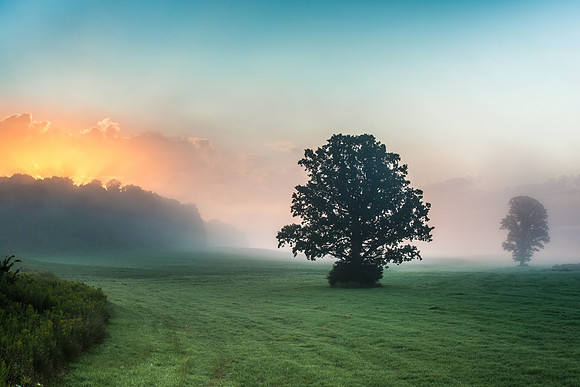 Fabius Farm Morning - 8/9/2015