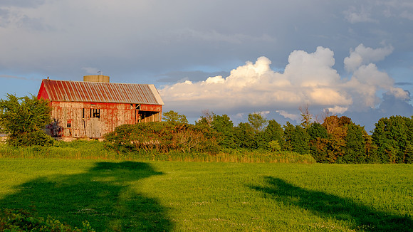 Pompey Farm