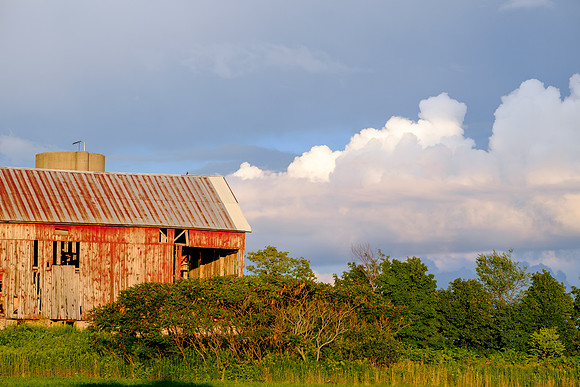 Pompey Farm