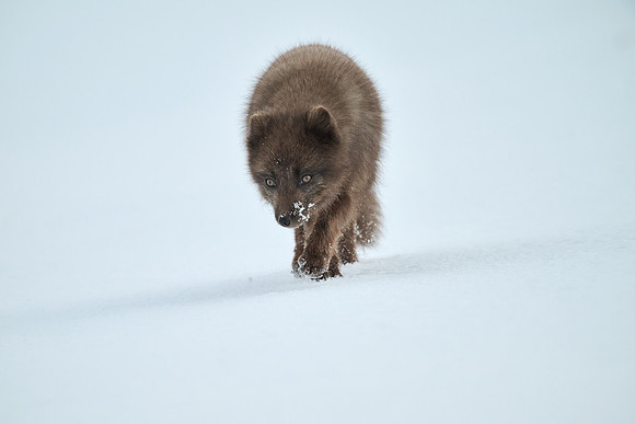 Out for a stroll