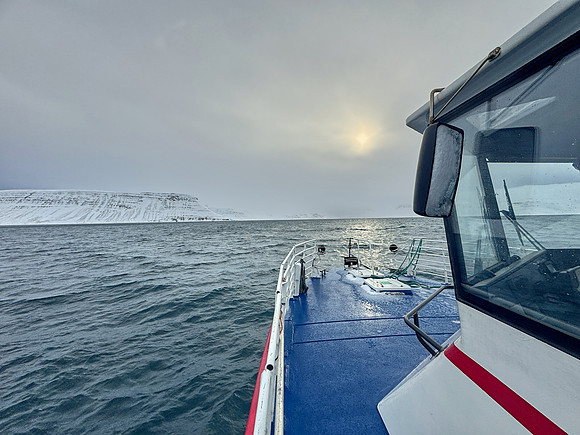 Boat arriving at Hornstrandir