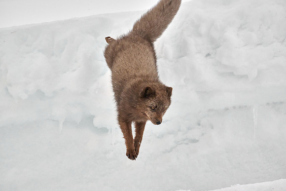 Jump!