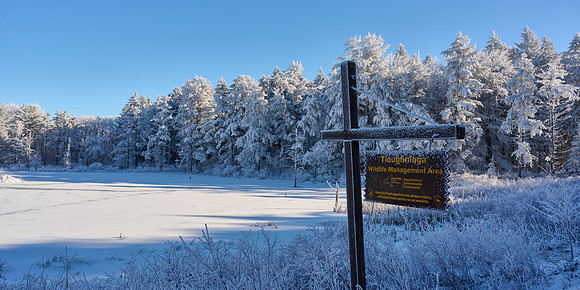 Hoar Frost Morning, 2023-01-16