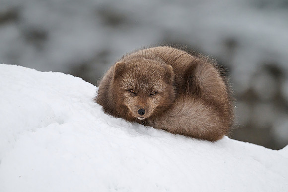 Time for a rest