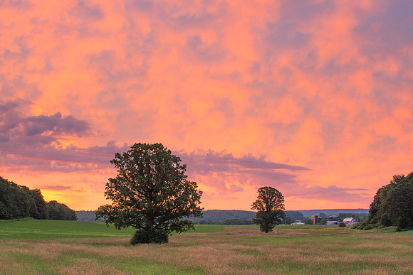 Fabius Farm Morning - 6/27/2015