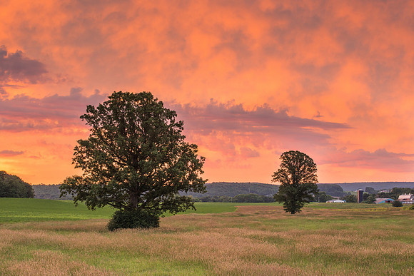 Fabius Farm Morning - 6/27/2015
