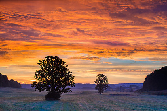 Fabius Farm Morning - 9/12/2015