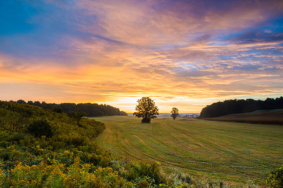 Fabius Farm Morning - 9/12/2015