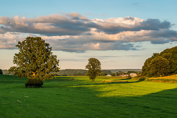 Fabius Farm Evening - 8/9/2015