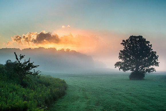 Fabius Farm Morning - 8/9/2015