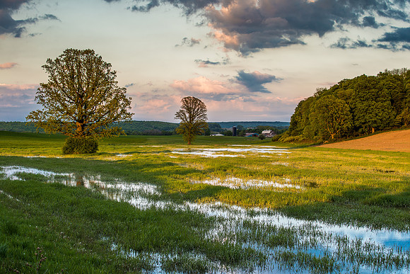 Fabius Farm Evening - 5/22/2015