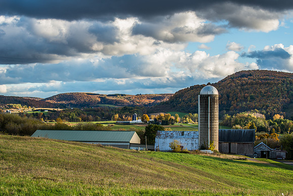 Neighbor's Farm - 10/17/2015