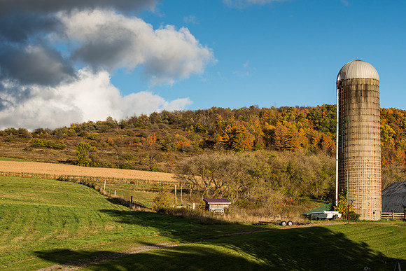 Neighbor's Farm - 10/17/2015