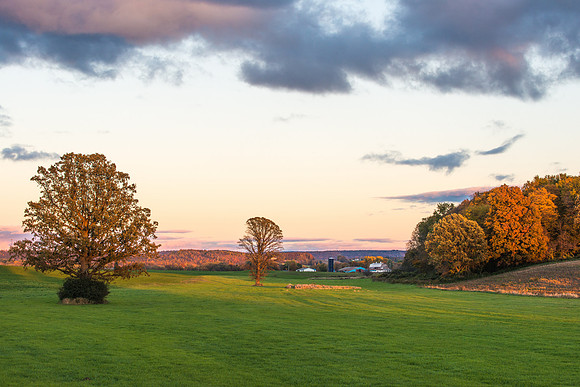 Fabius Farm Evening, 10/17/2015