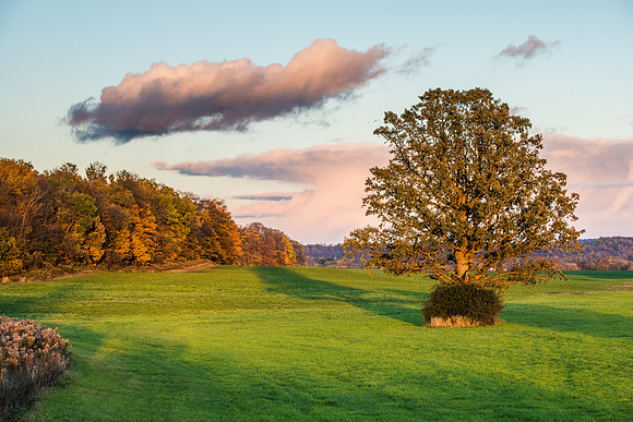 Fabius Farm Evening, 10/18/2015