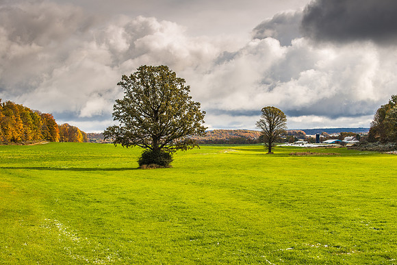 Fabius Farm Morning, 10/18/2015