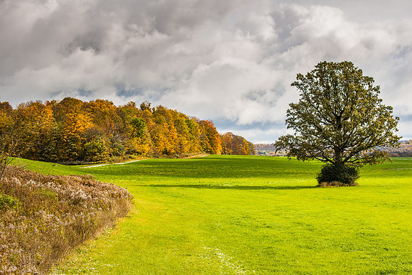 Fabius Farm Morning, 10/18/2015
