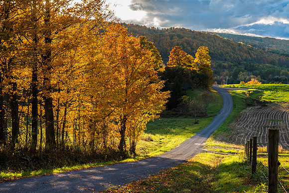 Barrett Rd, 10/17/2015