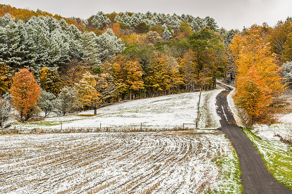 Barrett Rd, 10/18/2015