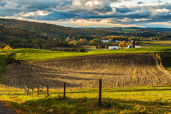 Barrett Rd, 10/17/2015