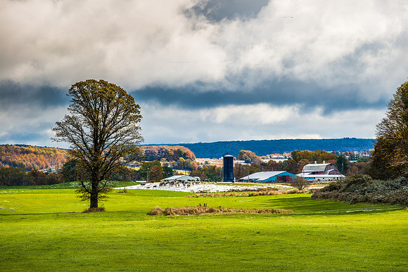 Fabius Farm Morning, 10/18/2015