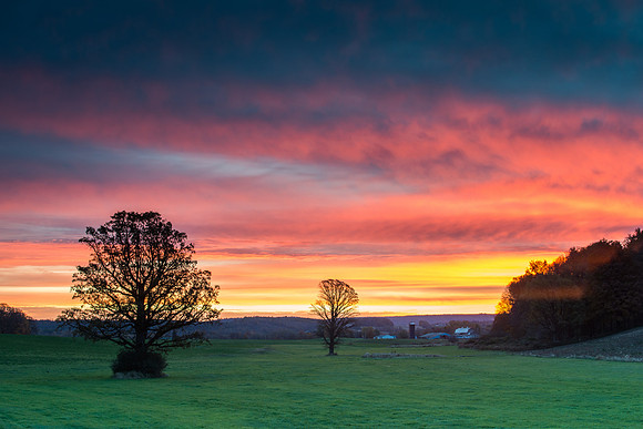 Fabius Farm Morning, 10/24/2015