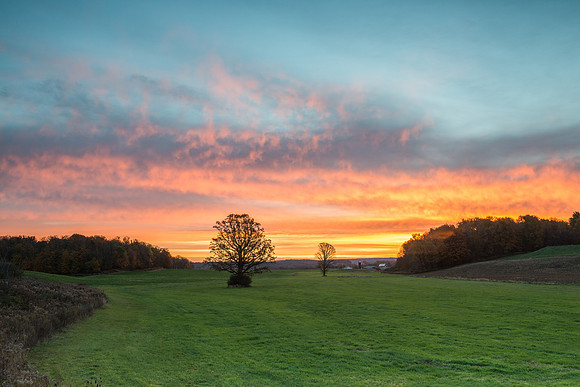 Fabius Farm Morning, 10/24/2015
