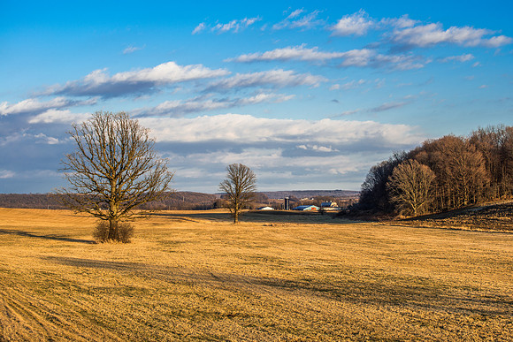 Fabius Farm Morning, 02/06/2016