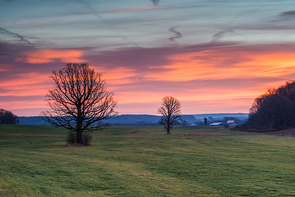 Fabius Farm Morning, 11/26/2015