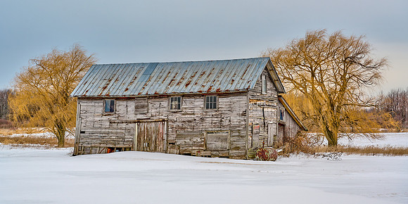 Coop in Winter, 2022-01-27