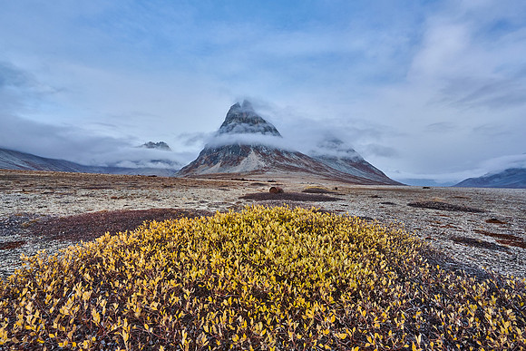 Nature is reclaiming the old base