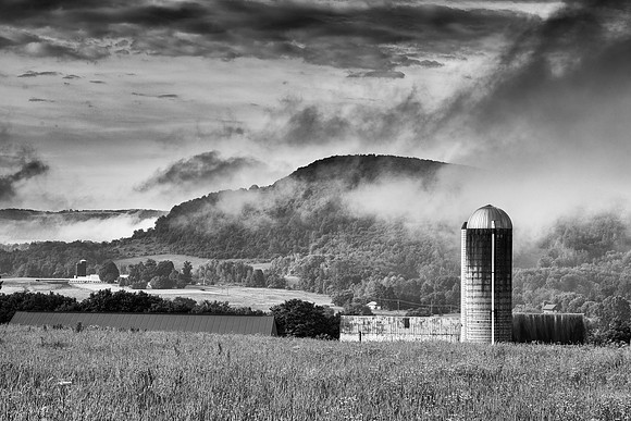 Neighbor's Farm - 6/26/2015
