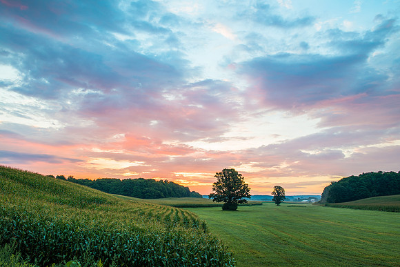 Fabius Farm Morning, 08/13/2016