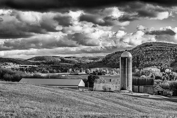 Neighbor's Farm - 10/17/2015
