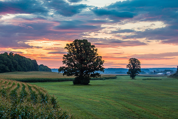 Fabius Farm Morning, 08/13/2016