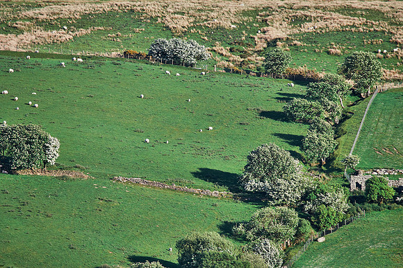 Wales, South of Cerrigydrudion
